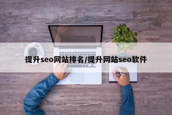提升seo网站排名/提升网站seo软件